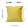 Betadistor Orange Cushion Covers 18x18Inch 2-Pack: Soft Decorative Throw Pillow