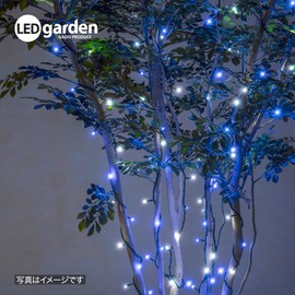TAKASHO Illumination Straight, blue