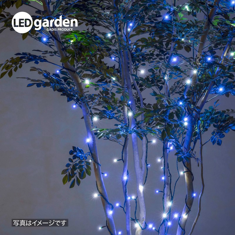 TAKASHO Illumination Straight, blue