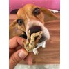 Snack 100% Natural para Perros, 15 Piezas, Crujientes, Deliciosas y