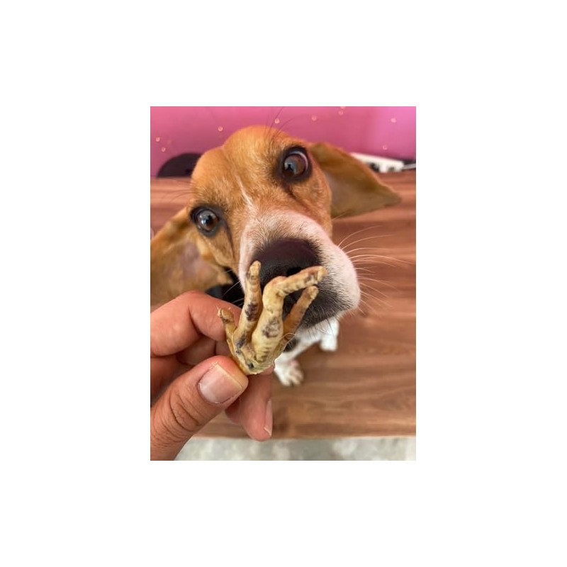 Snack 100% Natural para Perros, 15 Piezas, Crujientes, Deliciosas y