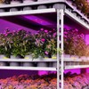 Full Spectrum LED Plant Growth Light Board Supplement Light for
