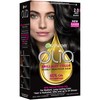 Garnier Olia Ammonia-Free Brilliant Color Oil-Rich Permanent Hair Color, 2.0