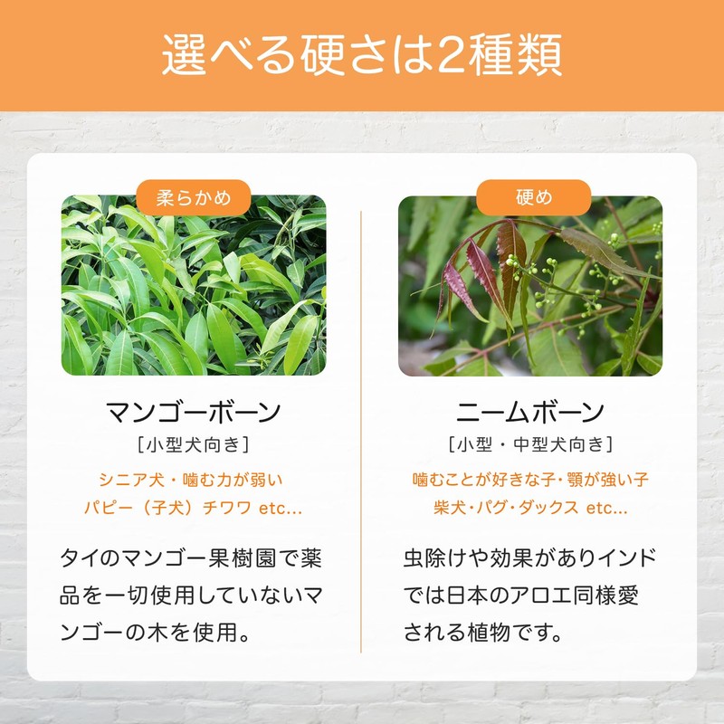 Replus Mango Bone mango bone M