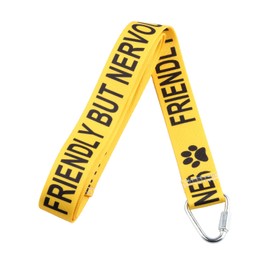 Friendly But Nervous/Give Me Space Dog Working Dog Lead Rescue Dogs Anxious Dogs Gift (Friendly But Lead)