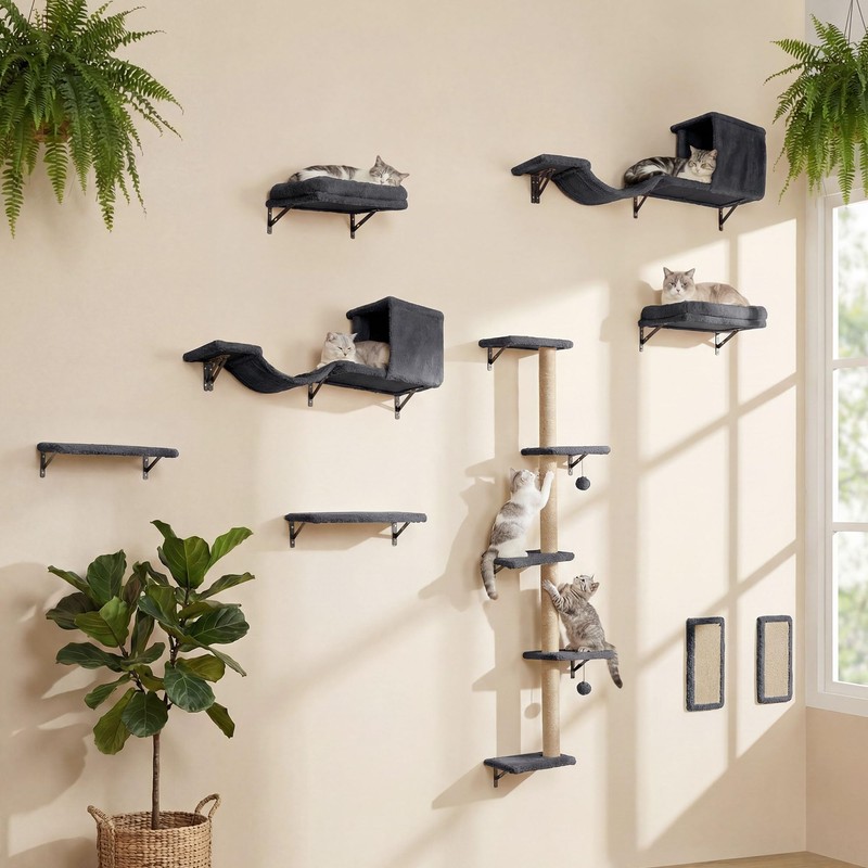 MEWANG 5-in-1 Cat Wall Shelves: Cat Climbing Furniture with Wall