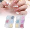 2 Boxes 12 Grids 3D Flower Nail Charms Resin DIY