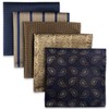 Shlax&Wing Pack of 5 Assorted Handkerchiefs for Men Square Size