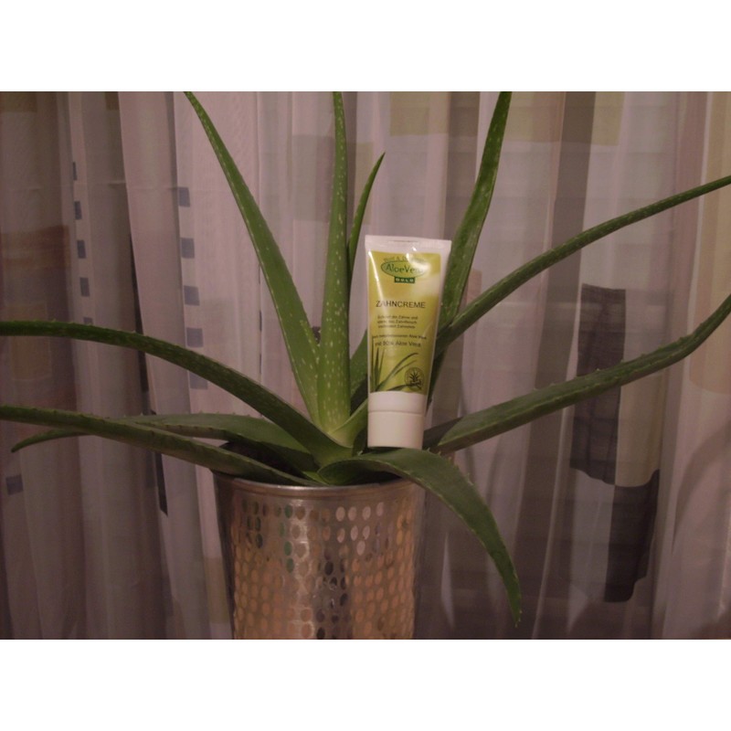 Aloe Vera Gold Toothpaste 75ml