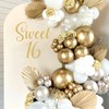 Tintisfafa Sweet 16 Party Decorations 16th Birthday Decorations for Boys