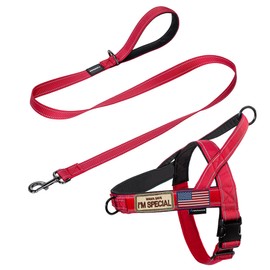 Annchwool No Pull Dog Harness with Padded Handle+5 Ft Leash,Reflective Strip Escape Proof and Quick Fit to Adjust Dog Harness,Easy for Training Walking for Small & Medium and Large Dogs(Red-Set,L)