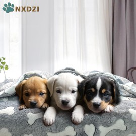 Dog Blankets for Small Medium Dogs Washable, 3 Pack Pet Blanket Washable 30" x 20", Fuzzy Soft Puppy Blanket Throw Cover for Kennel Crate Bed, Blanket for Dogs, Pet Blankets for Dogs