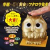 Cyprus Today's Fortune Teach Owl, Pressing the Head and Advice,