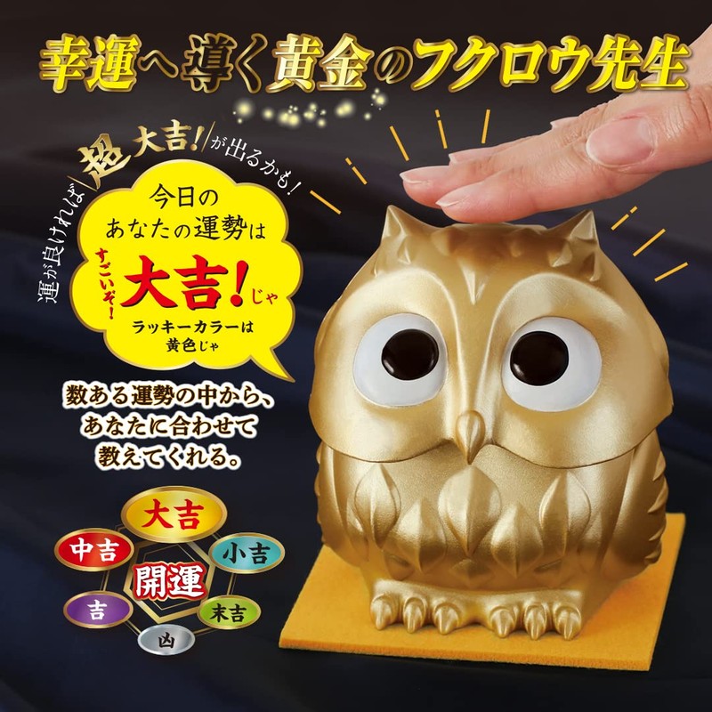 Cyprus Today's Fortune Teach Owl, Pressing the Head and Advice,