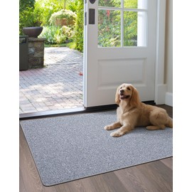 LUMI Large Indoor Door Mat, 32"x47" Non Slip Rubber Backing Entrance Mat, Easy Clean Low Profile Ultra Thin Entryway Mat for Inside House, Patio, Light Grey