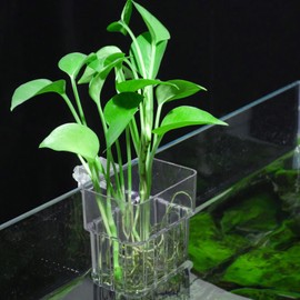 Aquarium Plant Holder,2Pack Transparent Hanging Pot for Fish Tank Aquatic Plant Cultivation and Aquascape Decorations Planter Cups with Hook and Screws