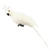TEAMWILL 6PACK 10inch 25cm Lifelike Artificial Birds Feathered Fake Shoulder