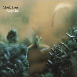 Katy Lied