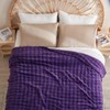 NEWCOSPLAY Queen Blanket for Couch Purple Super Soft Flannel Fleece