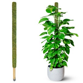 DUSPRO 59’’ Large Green Mesh Moss Pole Monstera Plant Support, Tall Plant Stakes, Moss Pole for Plants Monstera, Garden Pole, Moisture Stick for Plants (1pc., 59''), Natural