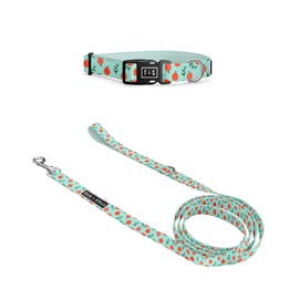 Tella & Stella-Dog Collar & Leash Set for Small Dogs-5 ft Long 5/8″ in Wide Leash & 9 in to 12.5 in Wide Adjustable Nylon Collar-Lined with Neoprene-Rotating Carabiner Clip-Puppy Collar (Peach,S)