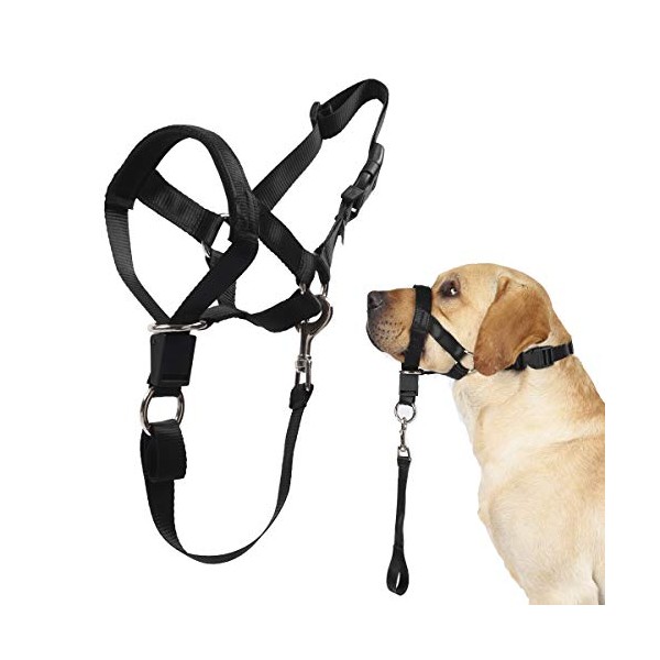Dog Head Collar, No Pull Training Tool for Dogs on