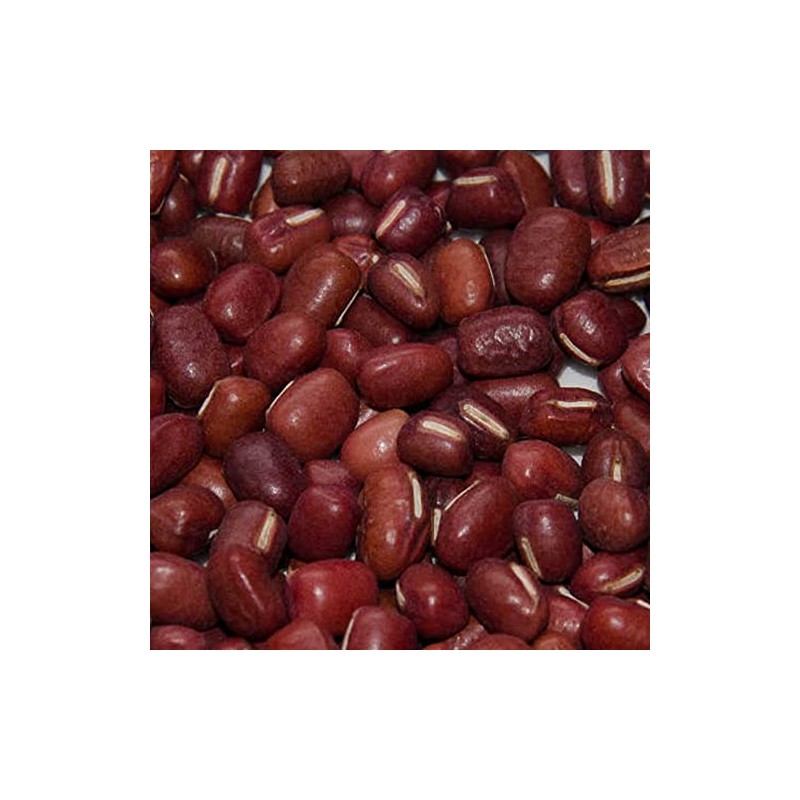 Adzuki Bean - Doyou - 5 g Packet ~35 Seeds