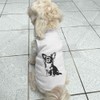'Long Haired Chihuahua Sitting' Pet Dog/Cat T-Shirt (PT00148451)