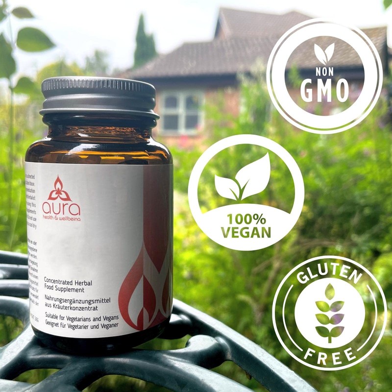 GUI Pi Tang 归脾汤 (Longan Fruit & Polygonum Vine)