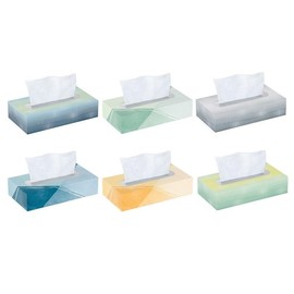 Signature-Facial Tissues, 2-Ply. Flat Box, 110 Tissues/Box, 6 Pack (660 Total Sheets), Soft & Absorbent, Fragrance-Free