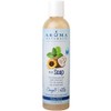 Aroma Naturals Extraordinary Natural 4-in-1 Castile Liquid Soap, Global Mints,