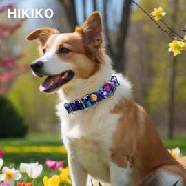 Hikiko Martingale Collar for Dogs with No Buckle Flower Dog Collars Pretty Cute Purple Dog Collar for Small Dogs,Colourful Blossoms,S