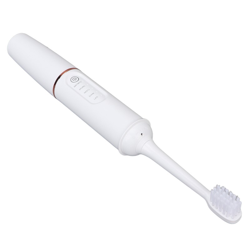 Plaque Remover IPX7 Waterproof Multifunction Electric Teeth Cleaning Kit for