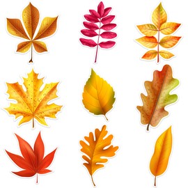 Wonmon 45 PCS Fall Maple Leaves Cutouts for Bulletin Board Decoration, Autumn Leaves Leaf Paper Cutout for Thanksgiving Fall Autumn Party Office School Classroom Bulletin Board Decoration
