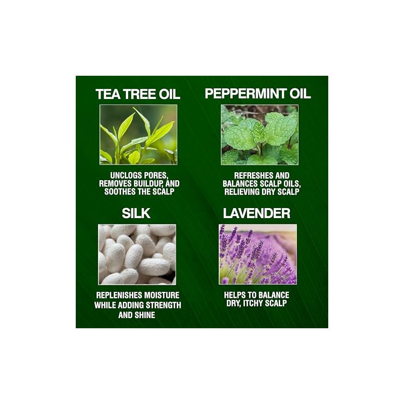 Chi Tea Tree Conditioner, 12 Fl Oz