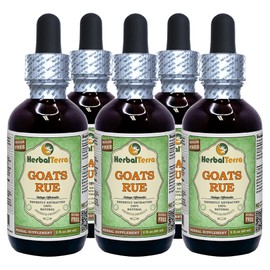 Goat's Rue (Galega officinalis) Glycerite, Organic Dried Herb Alcohol-Free Liquid Extract (Brand Name: HerbalTerra, Proudly Made in USA) 5x2 fl.oz (5x60 ml)