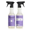 Mrs. Meyer's Lilac Kitchen Set Dish Soap | Hand Soap