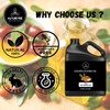 Naturevibe Botanicals Golden Jojoba Oil 32 oz – 100% Pure,