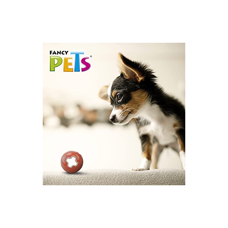 Fancy Pets Juguete Bola Mini Xtreme para Perros Resistente Masticable