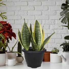 Whitefurze G02016 33cm Venetian Round Planter - Black