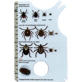 1 x human tick card, allows easy removal of ticks, tick remover for dogs and cats in handy pocket size, 8.5 x 5.4 x 0.1 cm, pest protection, tick removal in dogs