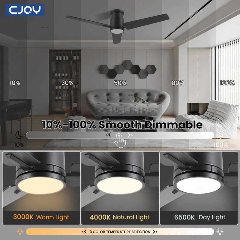 CJOY Ceiling Fan with Lights, 48 Inch Low Profile Ceiling