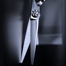 AOLANDUO Prime Hairdressing Scissors (6 inch) with Super Convex Edge, AICHI JP440C Hair Cutting Scissors, Durable, Smooth Movement and Fine Hair Cutting Scissors for Salon (Classic)