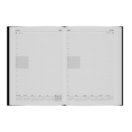 Collins - Essential - 2026 12 Month Calendar Year Planner, Day-To-Page with 1/2 Hourly Appointments Diary, A4 Hard Cover - Maroon (ESSA41A.78-26)