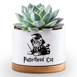 Funny Magical Cat Ceramic Succulent Cactus Flower Plant Pots with Bamboo Tray, 3.5 Inches Window Garden Cute Cat Planter Pot for Home Desk Decor Planter (No Plants)