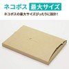 Earth Cardboard Cardboard Box Made in domestic Delivery 60 Size Neko