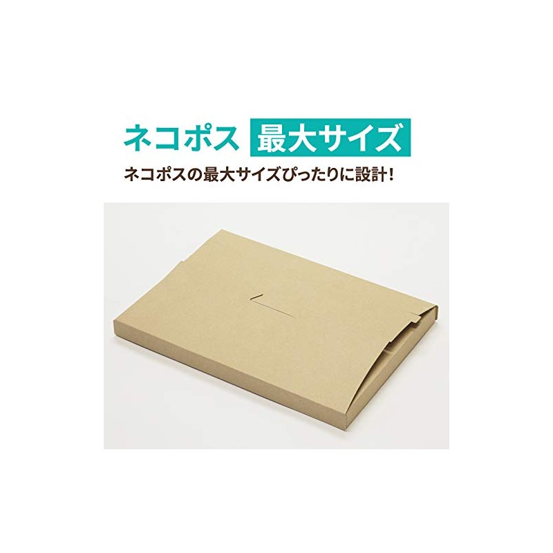 Earth Cardboard Cardboard Box Made in domestic Delivery 60 Size Neko