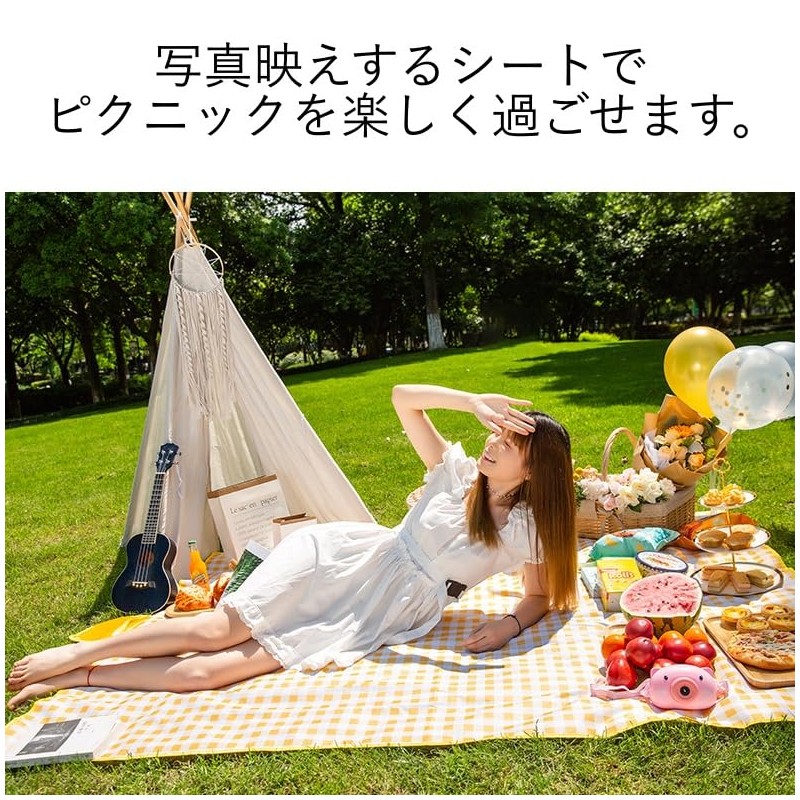 Leisure Sheet, Picnic Sheet, Mat, Large, Compact, Foldable, Washable, Waterproof,