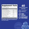 Nutricost- Polvo Complejo de Electrolitos (60 Porciones, Frambuesa Azul) Suplemento