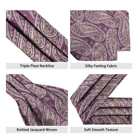 Beaface Men's Cravats Self Tie, Cravat Ties for Men Paisley Floral Jacquard Woven Ascot Tie Wedding Business Party Casual (Purple Paisley)